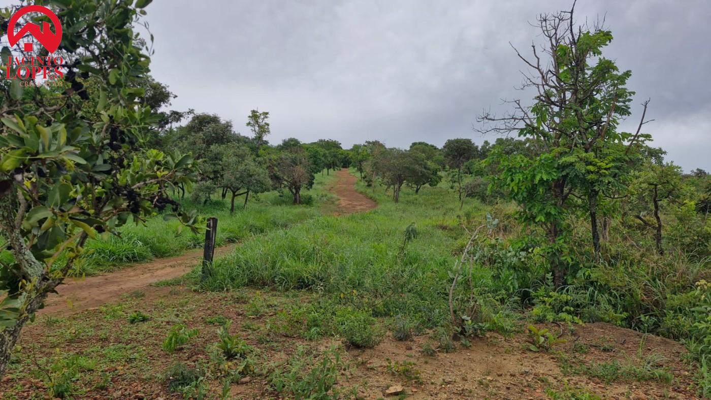 Chácara, 2 quartos, 2 hectares - Foto 2