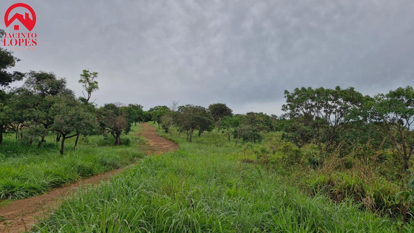 Chácara, 2 quartos, 2 hectares - Foto 3