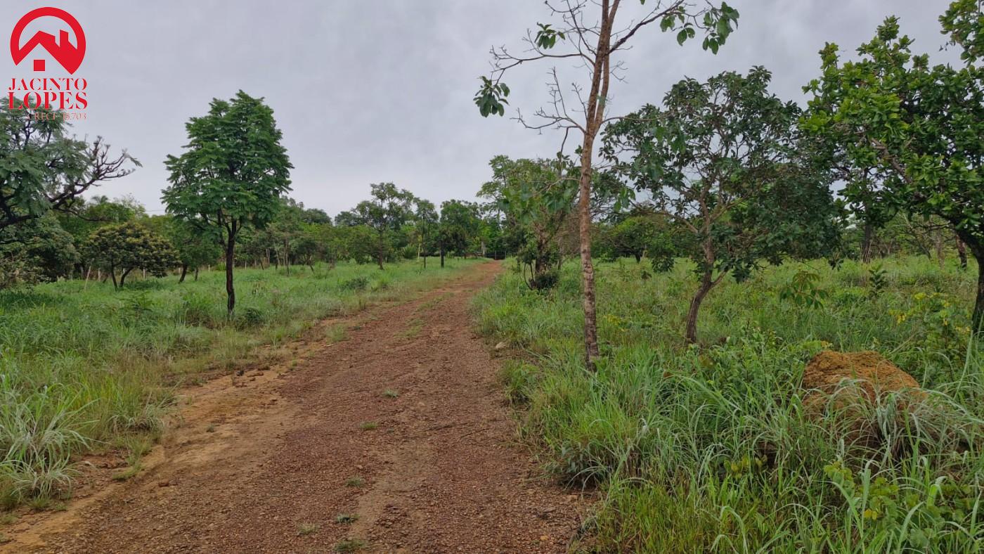 Chácara, 2 quartos, 2 hectares - Foto 5