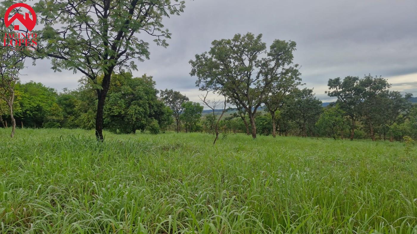 Chácara, 2 quartos, 2 hectares - Foto 10