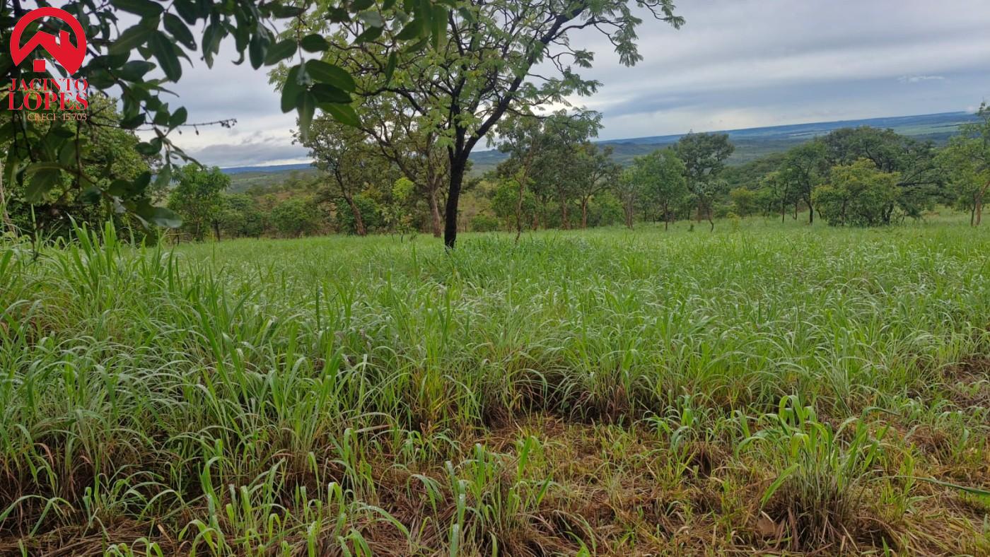 Chácara, 2 quartos, 2 hectares - Foto 15