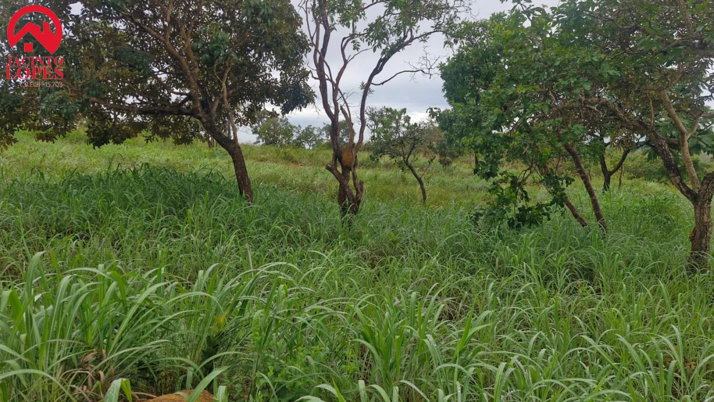 Chácara, 2 quartos, 2 hectares - Foto 16