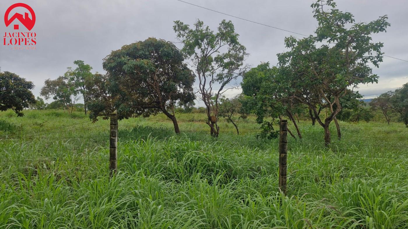 Chácara, 2 quartos, 2 hectares - Foto 20