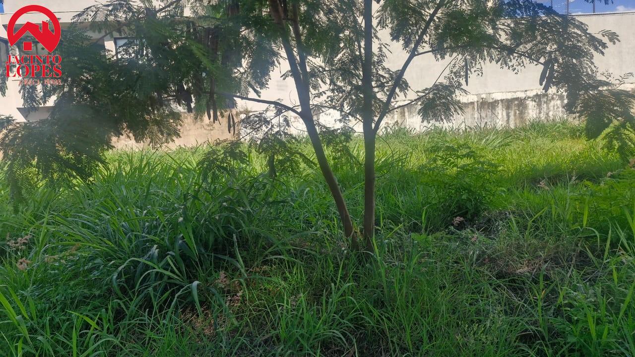 Terreno, 800 m² - Foto 10