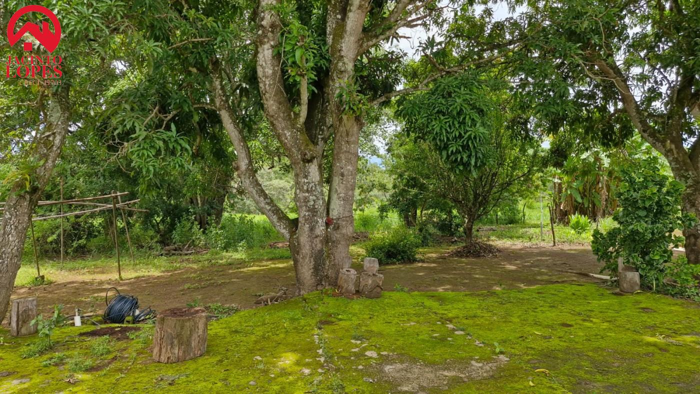 Chácara, 3 quartos, 5 hectares - Foto 21