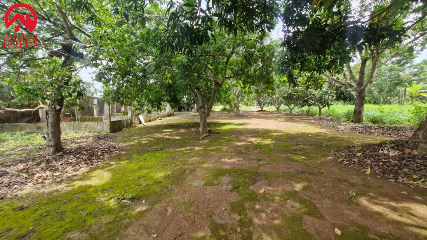 Chácara, 3 quartos, 5 hectares - Foto 53