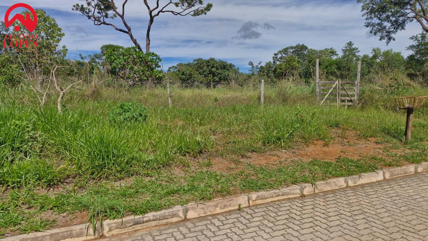 Chácara, 2 hectares - Foto 7