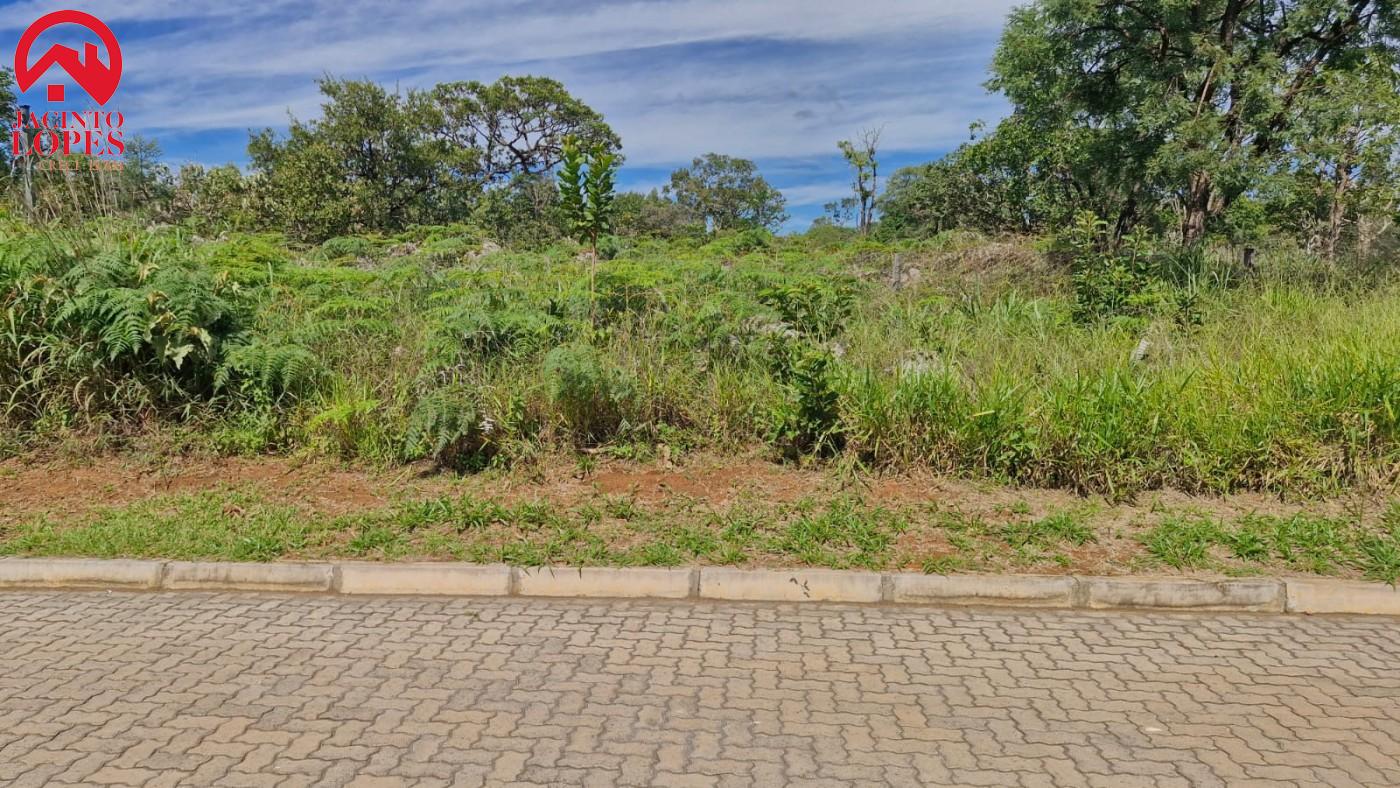 Chácara, 2 hectares - Foto 9