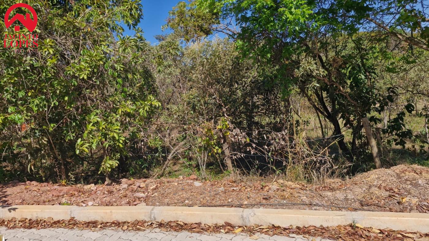 Terreno, 1028 m² - Foto 8