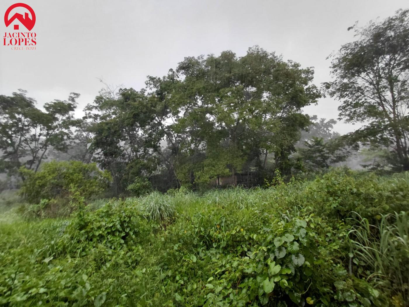 Fazenda, 3 hectares - Foto 7