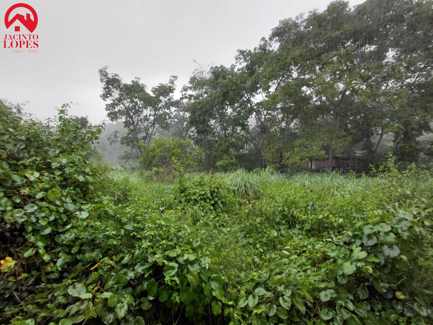 Fazenda, 3 hectares - Foto 8