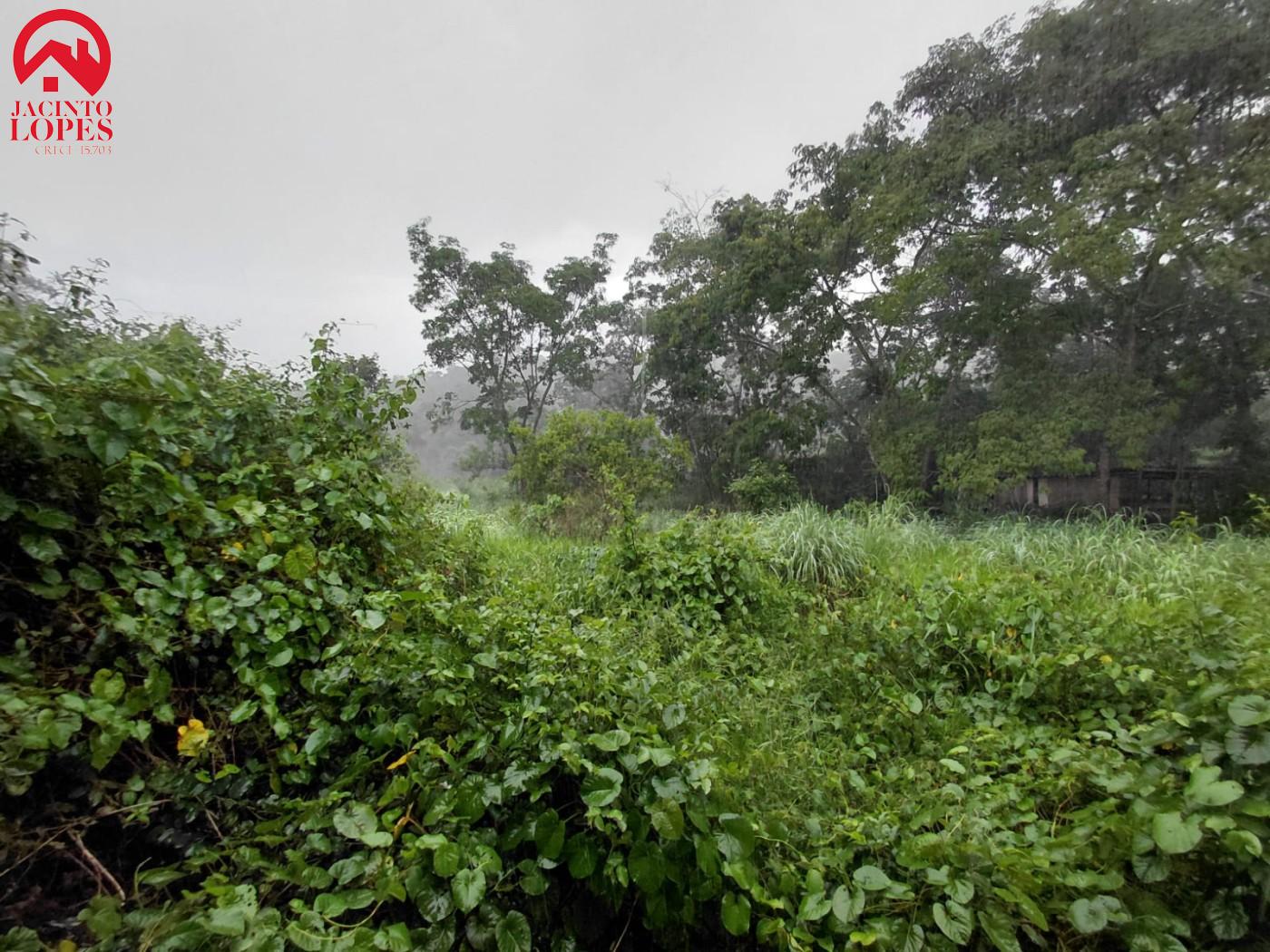 Fazenda, 3 hectares - Foto 9
